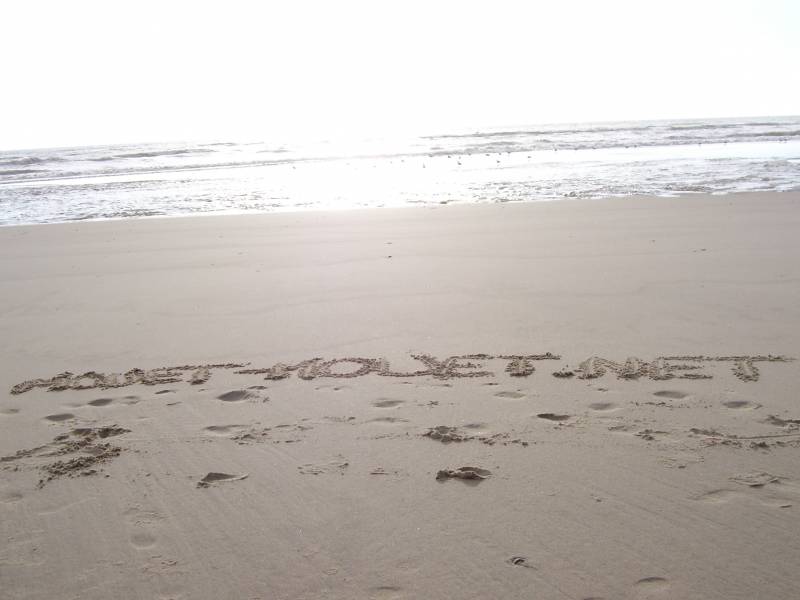 mouet-mouet ! mouet-mouet !